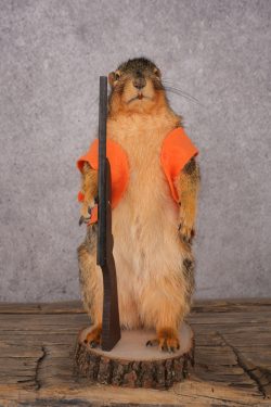 Hunting Squirrel SKU 3112
