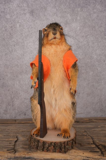 Hunting Squirrel SKU 3112