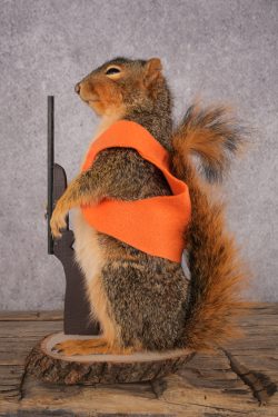 Hunting Squirrel SKU 3112 - Image 4