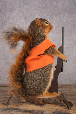 Hunting Squirrel SKU 3112 - Image 2