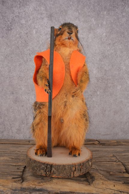 Hunting Squirrel SKU 3113