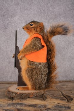 Hunting Squirrel SKU 3113 - Image 4