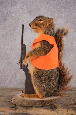 Hunting Squirrel SKU 3114 - Image 4