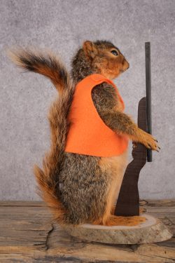 Hunting Squirrel SKU 3114 - Image 2