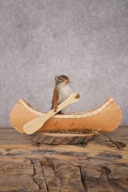 Red Squirrel in a Canoe SKU 3073