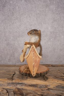 Red Squirrel in a Canoe SKU 3073 - Image 4