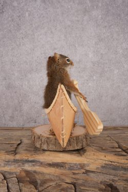 Red Squirrel in a Canoe SKU 3073 - Image 2