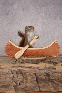 Red Squirrel in a Canoe SKU 3072