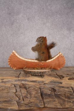 Red Squirrel in a Canoe SKU 3072 - Image 3