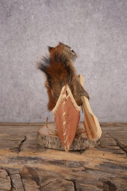 Red Squirrel in a Canoe SKU 3072 - Image 2