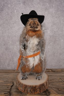 Cowboy Squirrel SKU 3070 - Image 5