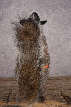 Cowboy Squirrel SKU 3071 - Image 3