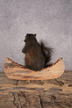 Black Squirrel in a Canoe SKU 3068 - Image 3