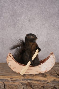 Black Squirrel in a Canoe SKU 3067