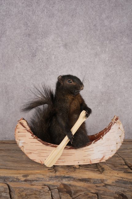 Black Squirrel in a Canoe SKU 3067