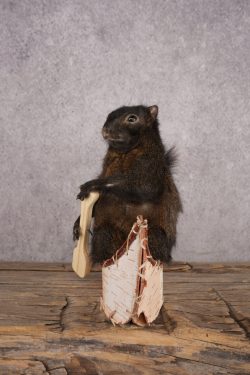 Black Squirrel in a Canoe SKU 3067 - Image 4