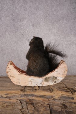 Black Squirrel in a Canoe SKU 3067 - Image 3