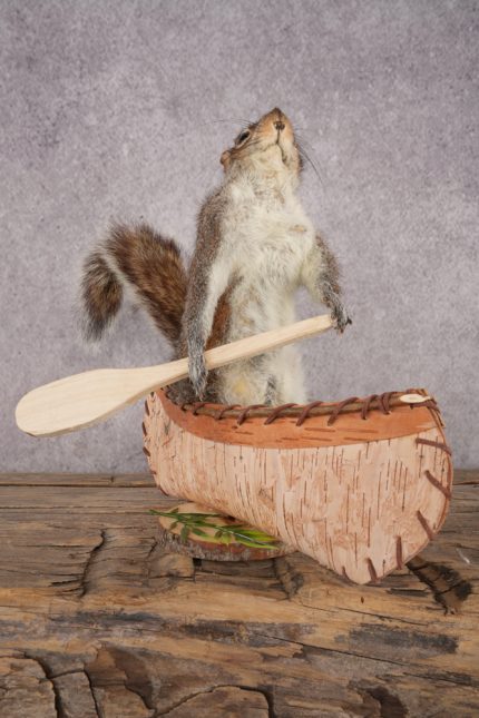 Squirrel in a Canoe SKU 3047