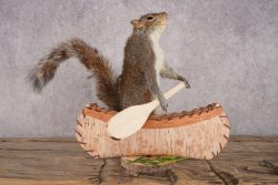 Squirrel in a Canoe SKU 3047 - Image 4