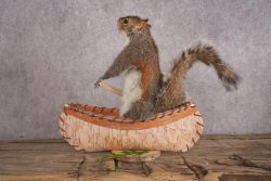 Squirrel in a Canoe SKU 3047 - Image 2