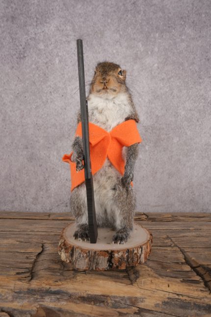 Hunting Squirrel SKU 3046