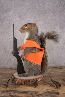Hunting Squirrel SKU 3046 - Image 4