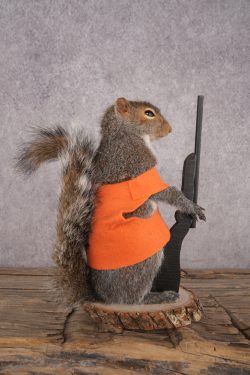 Hunting Squirrel SKU 3046 - Image 2