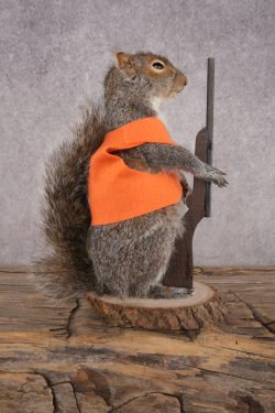 Hunting Squirrel SKU 3045 - Image 4