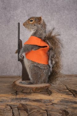 Hunting Squirrel SKU 3045 - Image 2