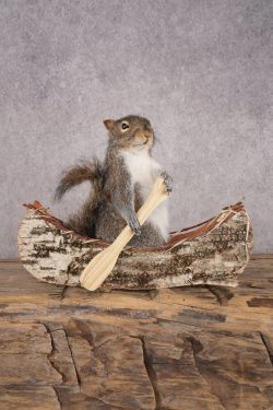 Squirrel in a Canoe SKU 3043