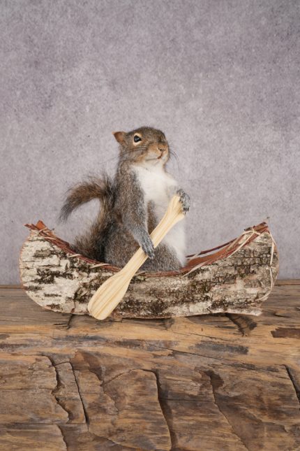 Squirrel in a Canoe SKU 3043
