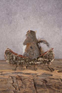 Squirrel in a Canoe SKU 3043 - Image 3