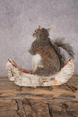 Squirrel in a Canoe SKU 3042 - Image 3