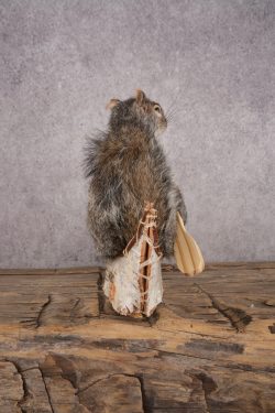 Squirrel in a Canoe SKU 3042 - Image 2