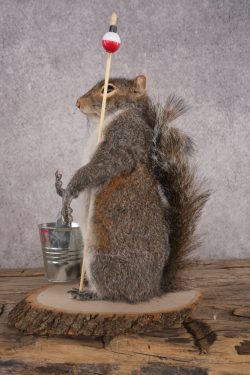 Fishing Squirrel SKU 3060 - Image 4