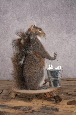 Fishing Squirrel SKU 3060 - Image 2