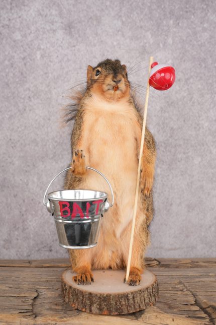 Fishing Squirrel SKU 3061