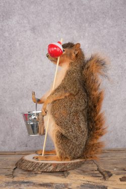 Fishing Squirrel SKU 3061 - Image 4