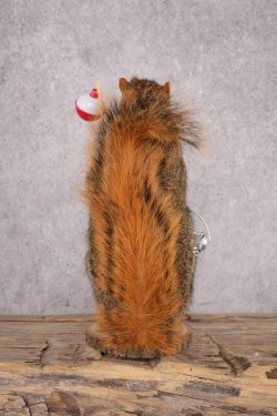 Fishing Squirrel SKU 3061 - Image 3