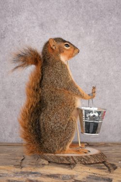 Fishing Squirrel SKU 3061 - Image 2