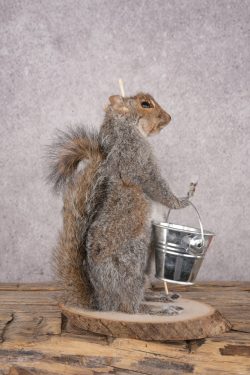 Fishing Squirrel SKU 3062 - Image 2