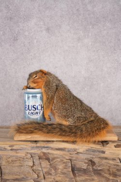 Drunk Squirrel SKU 3066