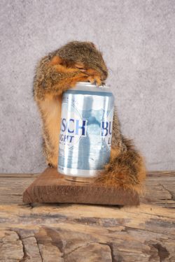 Drunk Squirrel SKU 3066 - Image 4