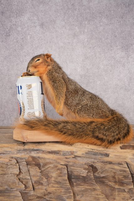 Drunk Squirrel SKU 3064