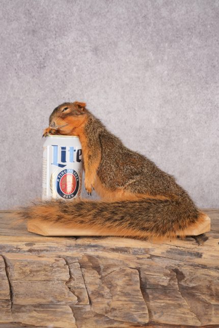 Drunk Squirrel SKU 3065