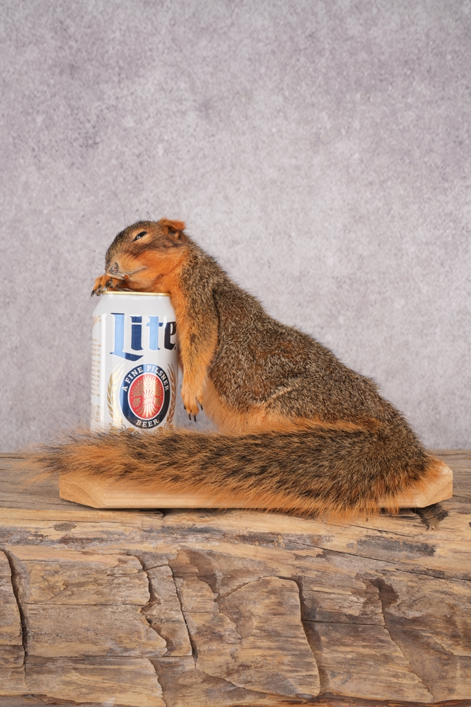 A7409761 Drunk Squirrel SKU 3065 - Image 1