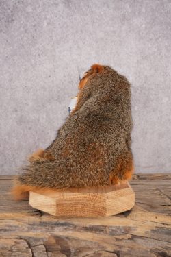 Drunk Squirrel SKU 3065 - Image 2