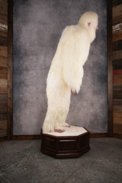 Yeti Replica SKU 3139 - Image 7