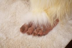 Yeti Replica SKU 3139 - Image 9