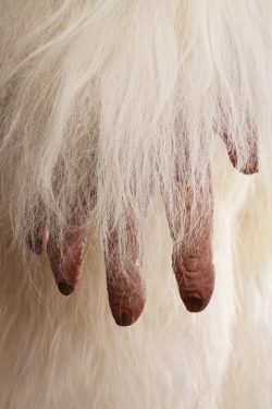 Yeti Replica SKU 3139 - Image 11